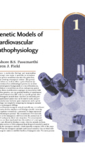 Atlas Of Cardiovascular Pathology P1 1000X1294