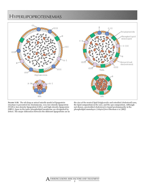 Atlas of Atherosclerosis p7 694x852