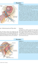 Atlas Of Laparoscopic Laser Surgery P10 1000X1228