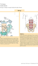 Atlas Of Laparoscopic Laser Surgery P3 1000X1228