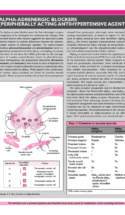 Current Cardiovascular Drugs P3 1000X1294