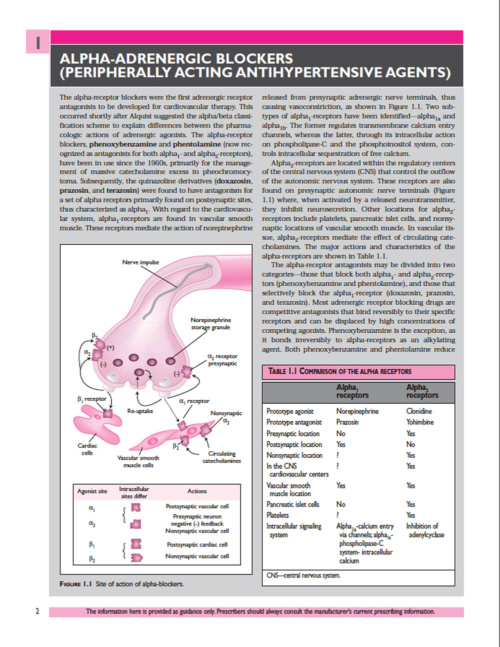 Current Cardiovascular Drugs p3 1000x1294
