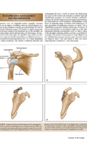 Current Diagnosis And Treatment Of Fractures P11 1000X1292