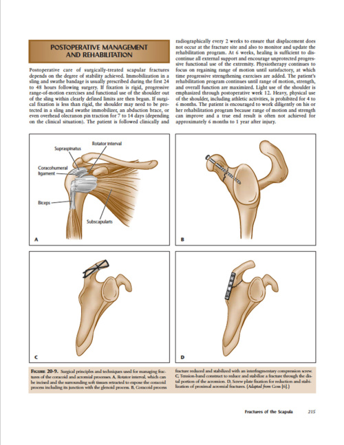Current Diagnosis and Treatment of Fractures p11 1000x1292