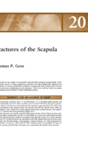 Current Diagnosis And Treatment Of Fractures P3 1000X1292