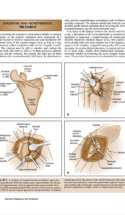 Current Diagnosis And Treatment Of Fractures P4 1000X1292
