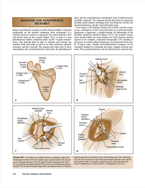 Current Diagnosis and Treatment of Fractures p4 1000x1292