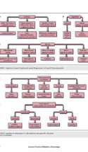 Current Practice Of Medicine Dermatology P4 1000X1293