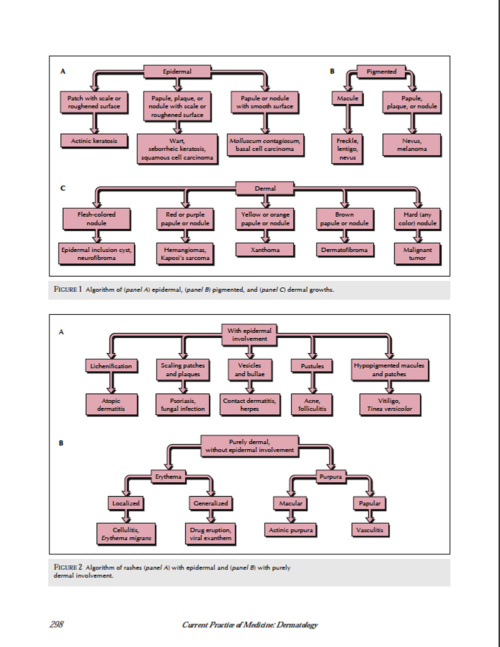 Current Practice of Medicine Dermatology p4 1000x1293