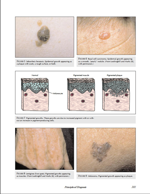 Current Practice of Medicine Dermatology p7 1000x1293