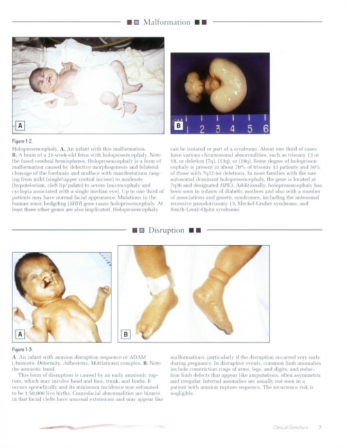 Atlas of Pediatrics page 3