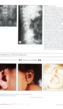 Atlas Of Pediatrics Page 5