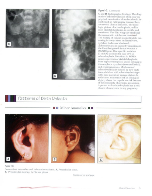 Atlas of Pediatrics page 5