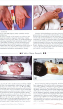 Atlas Of Pediatrics Page 6